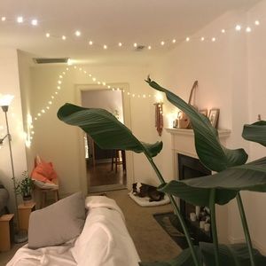 Urban outfitters copper string lights (set of 2!)